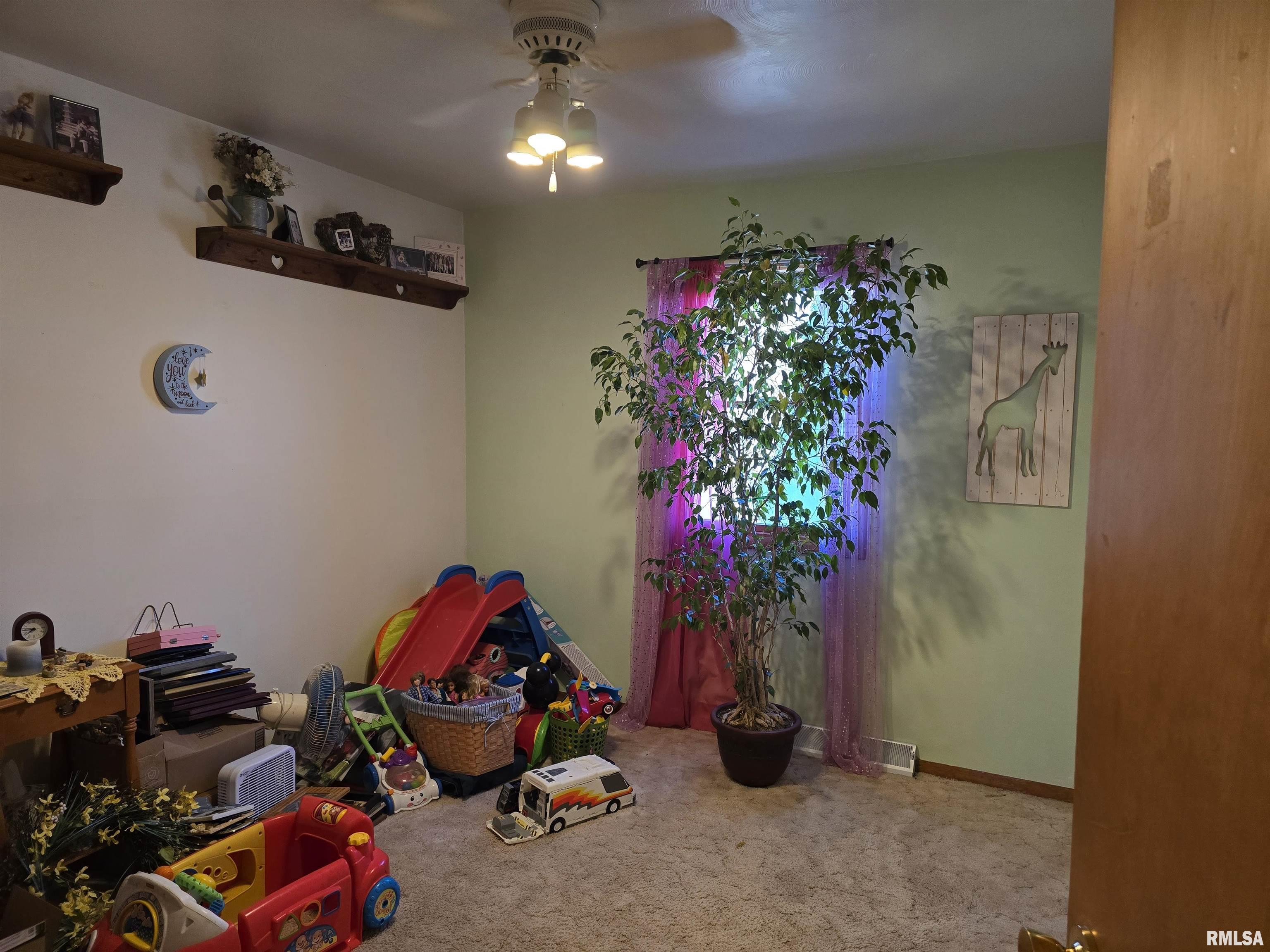 1410 East Locust Street Canton, IL 61520 - Photo 24 of 57