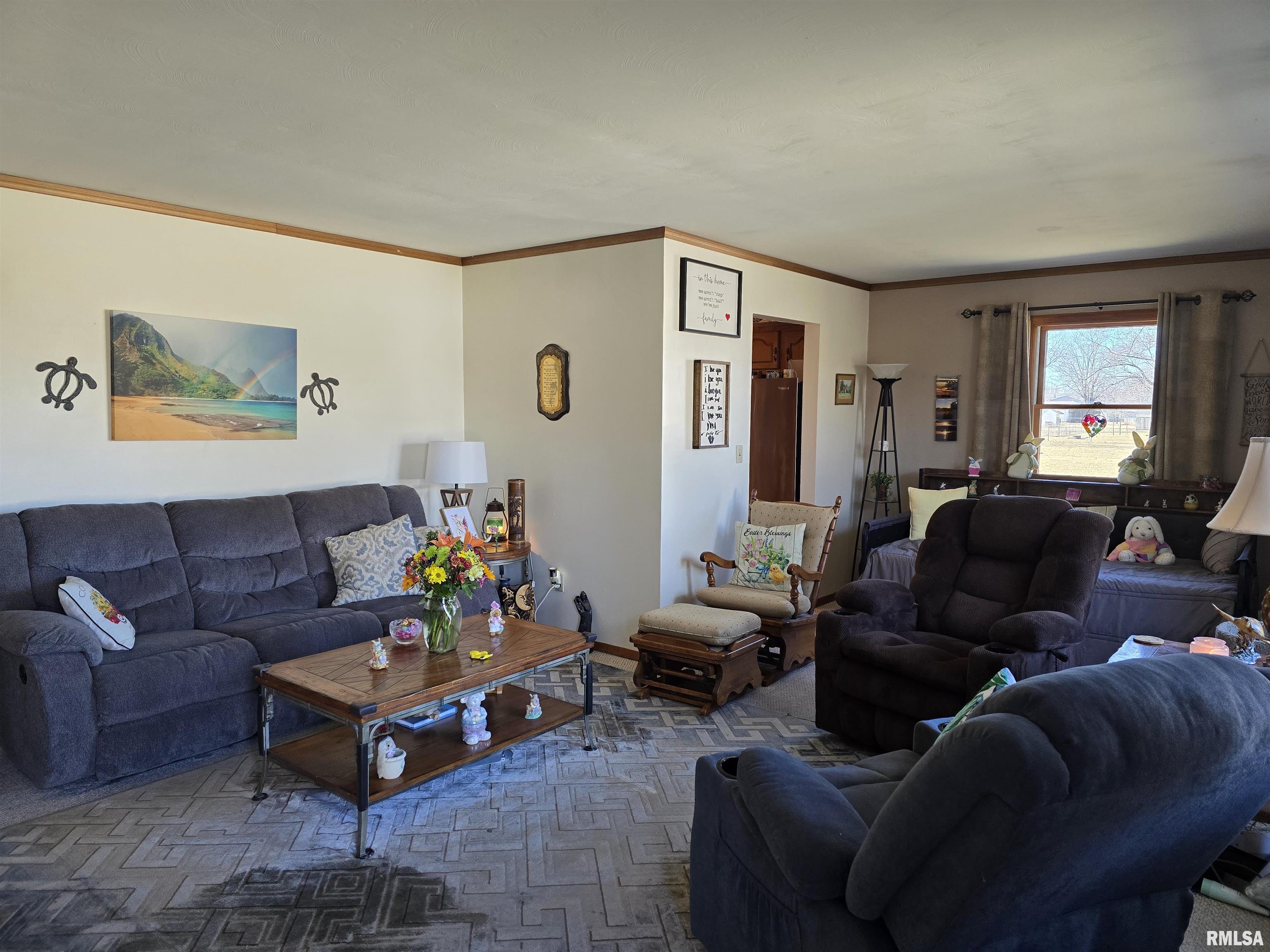 1410 East Locust Street Canton, IL 61520 - Photo 4 of 57