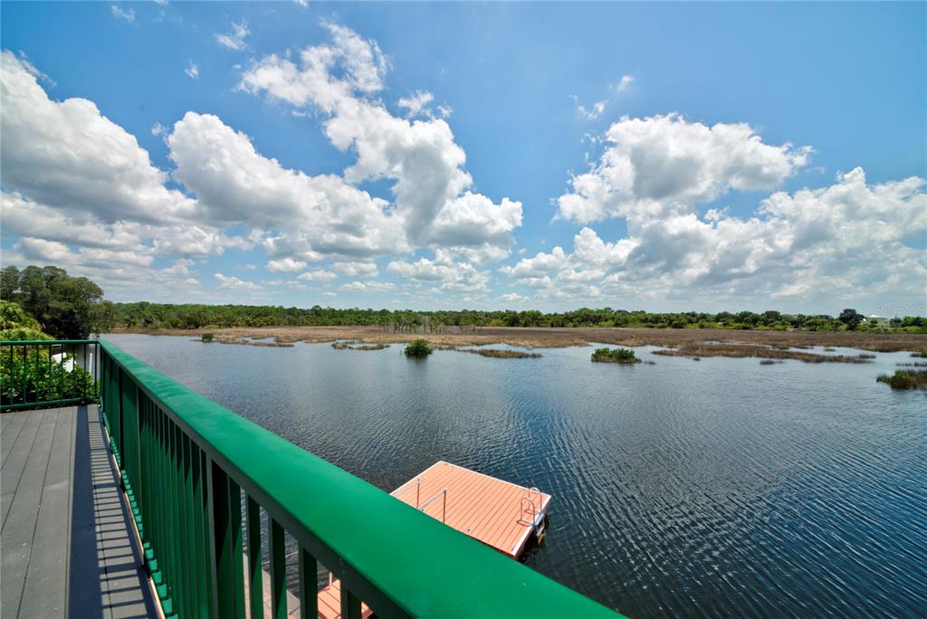 3198 Indian Gulf Lane Spring Hill, FL 34607 - Photo 63 of 98