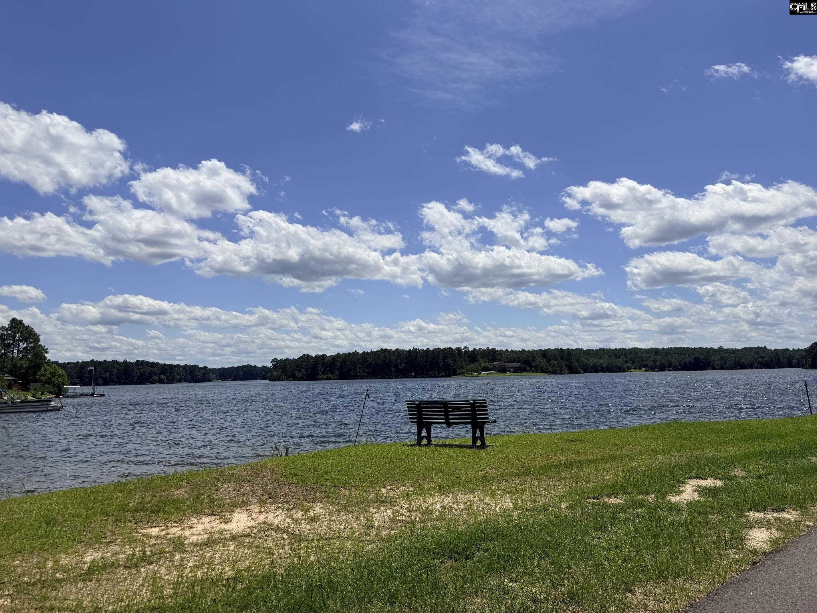 612 Edisto Lake Road Wagener, SC 29164 - Photo 43 of 48
