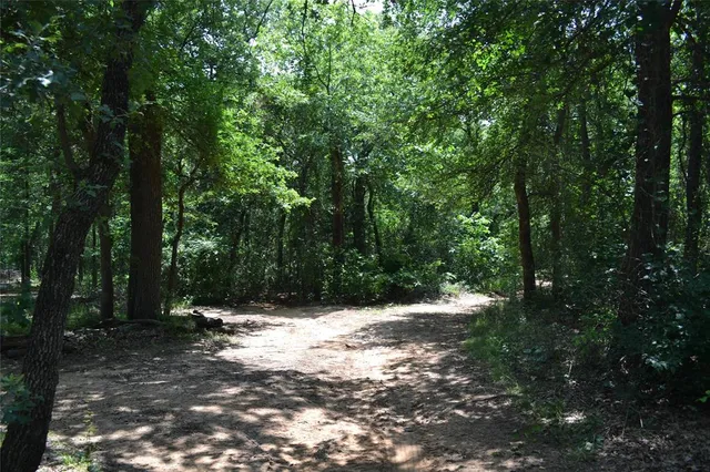a view of outdoor space with trees