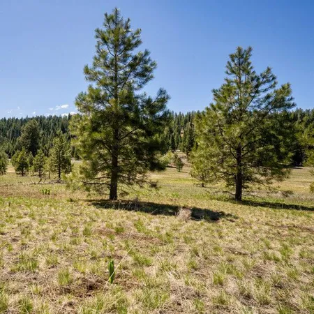 $600,000 | Lot 27 To Be Determined, Unit 27, McCall, ID 83638