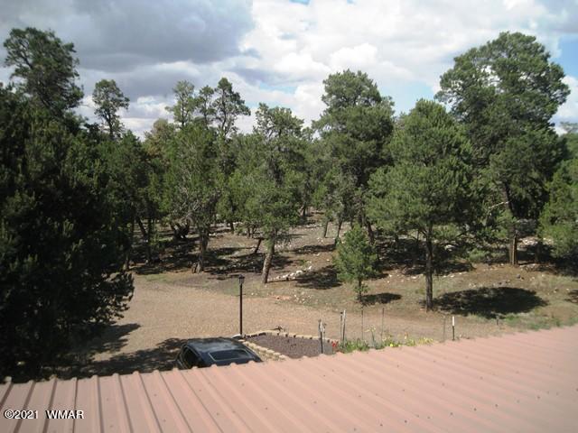 2091 Ranger Road Overgaard, AZ 85933 - Photo 36 of 66 a view of a outdoor space