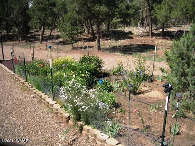 2091 Ranger Road Overgaard, AZ 85933 - Photo 40 of 66 a view of lake