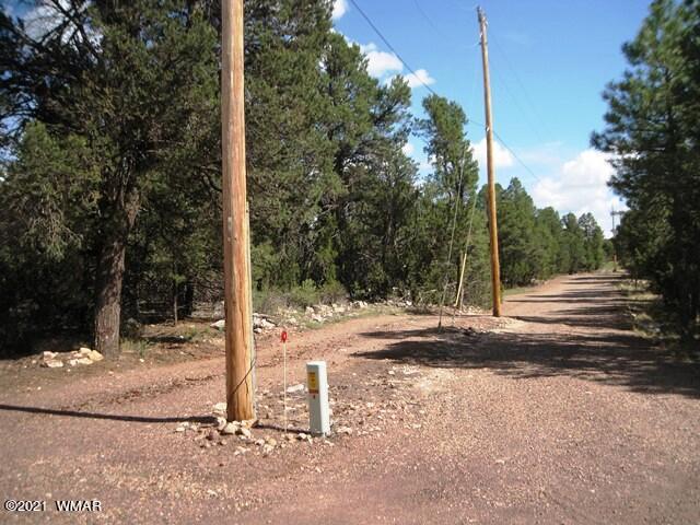 2091 Ranger Road Overgaard, AZ 85933 - Photo 64 of 66 a view of a road with a tree