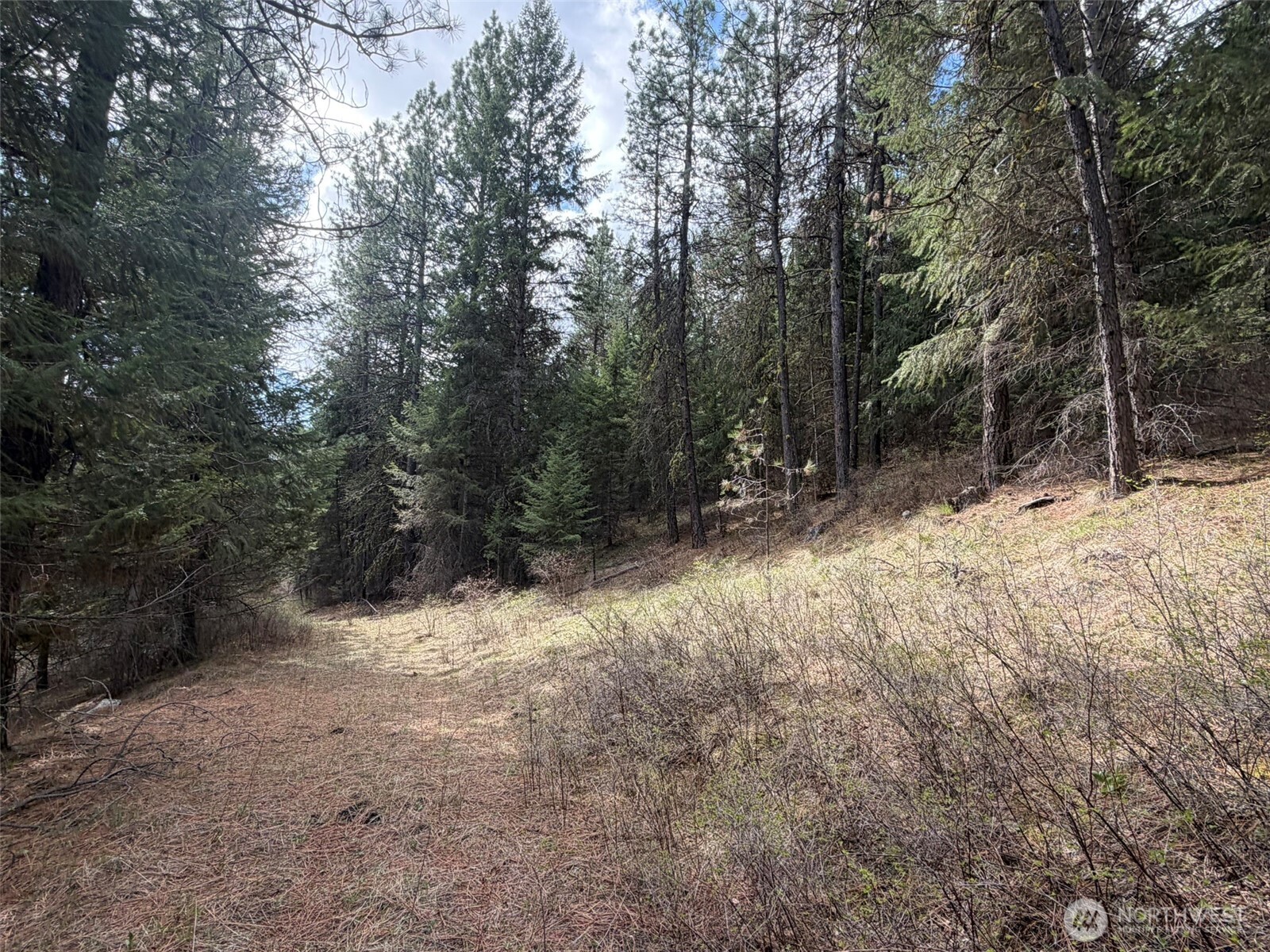 111-tbd W West Curlew Lake Road Republic, WA 99166 - Photo 10 of 16