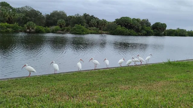 $699,000 | 3182 Lake View Boulevard, Port Charlotte, FL 33948