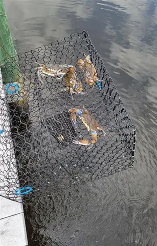 $699,000 | 3182 Lake View Boulevard, Port Charlotte, FL 33948