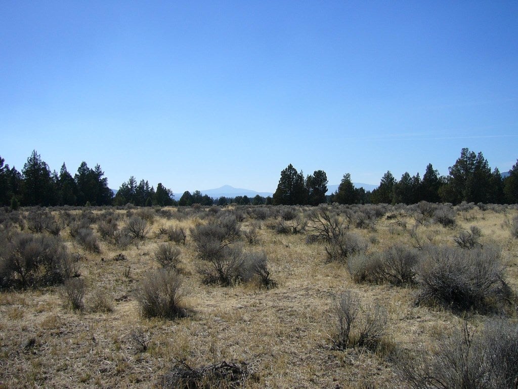 640 Acres Red Rock Road Macdoel, CA 96058 - Photo 13 of 24 Gallery Image 13