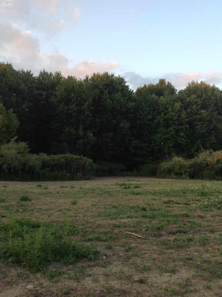 0 Nettney Capac, MI 48014 - Photo 28 of 32