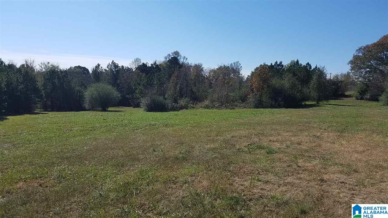 298 Bowerman Road Blountsville, AL 35031 - Photo 23 of 30