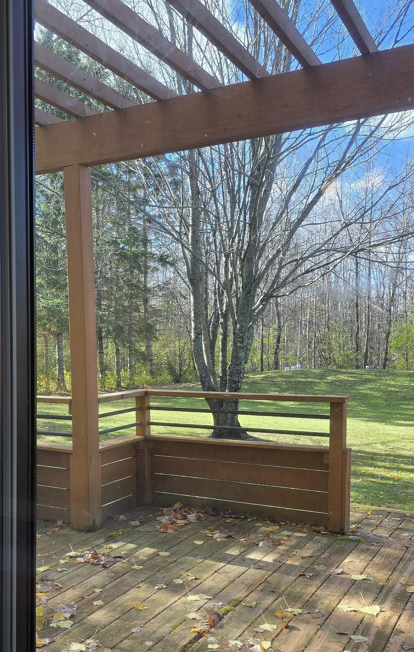 463 Bye's Avenue Solway, MN 56678 - Photo 16 of 36