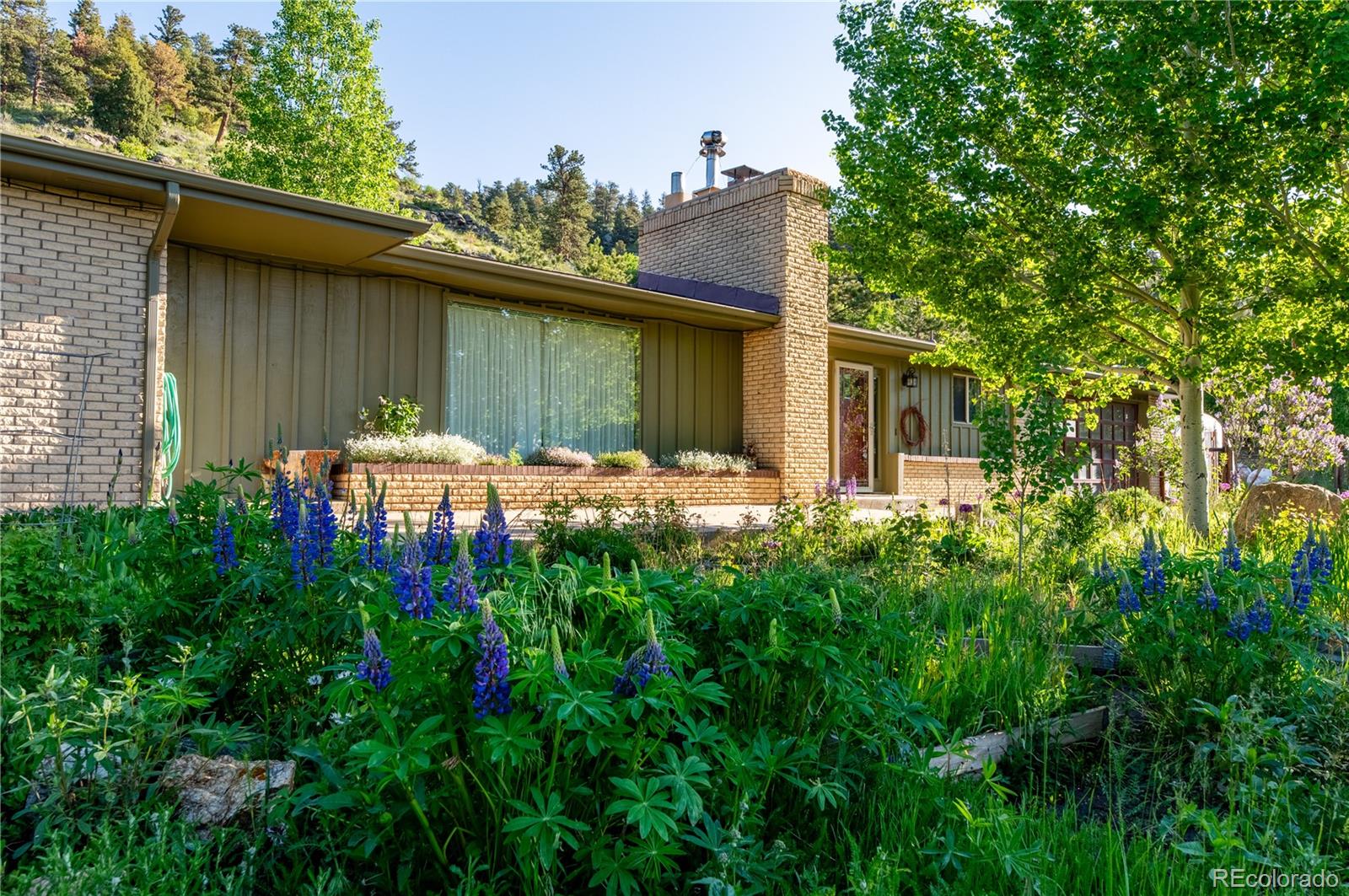 33351 Golden Gate Canyon Road Golden, CO 80403 - Photo 36 of 50 Gallery Image 36