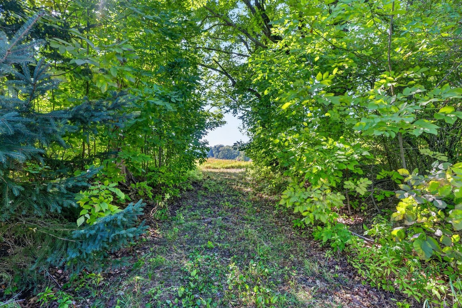 5 Comet Road Exeland, WI 54835 - Photo 13 of 29 Gallery Image 13