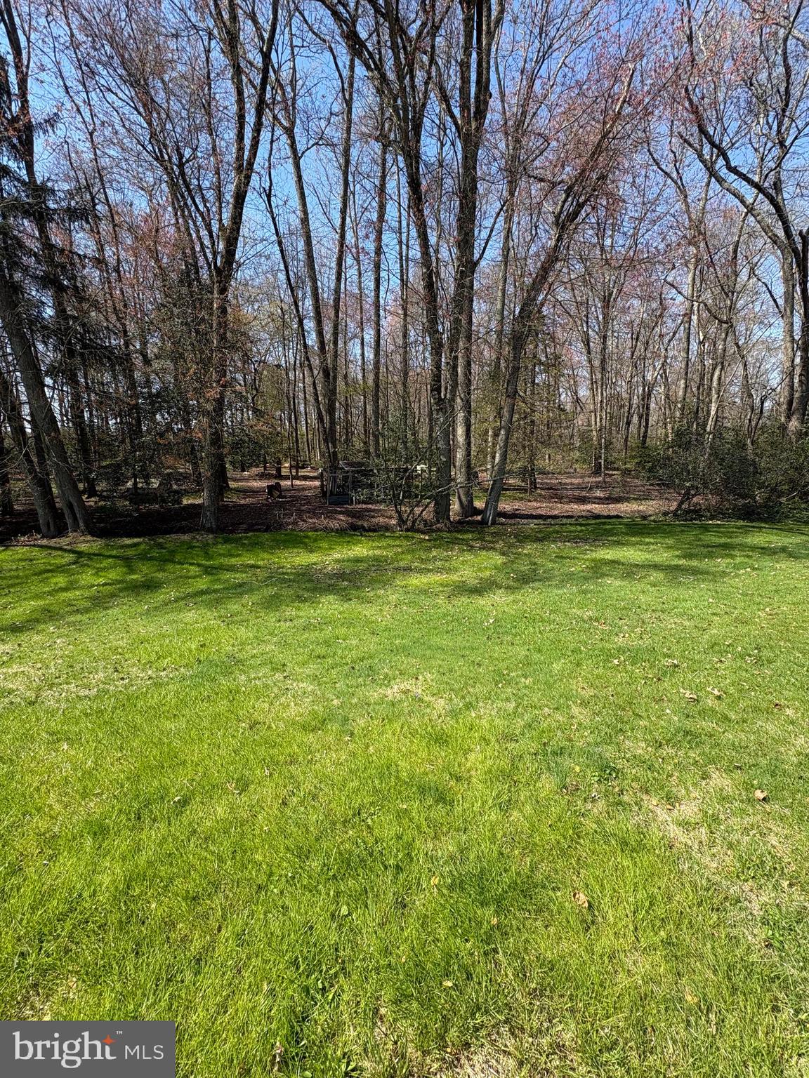 417 Medford Lakes Road Tabernacle, NJ 08088 - Photo 55 of 60 Look at the views.