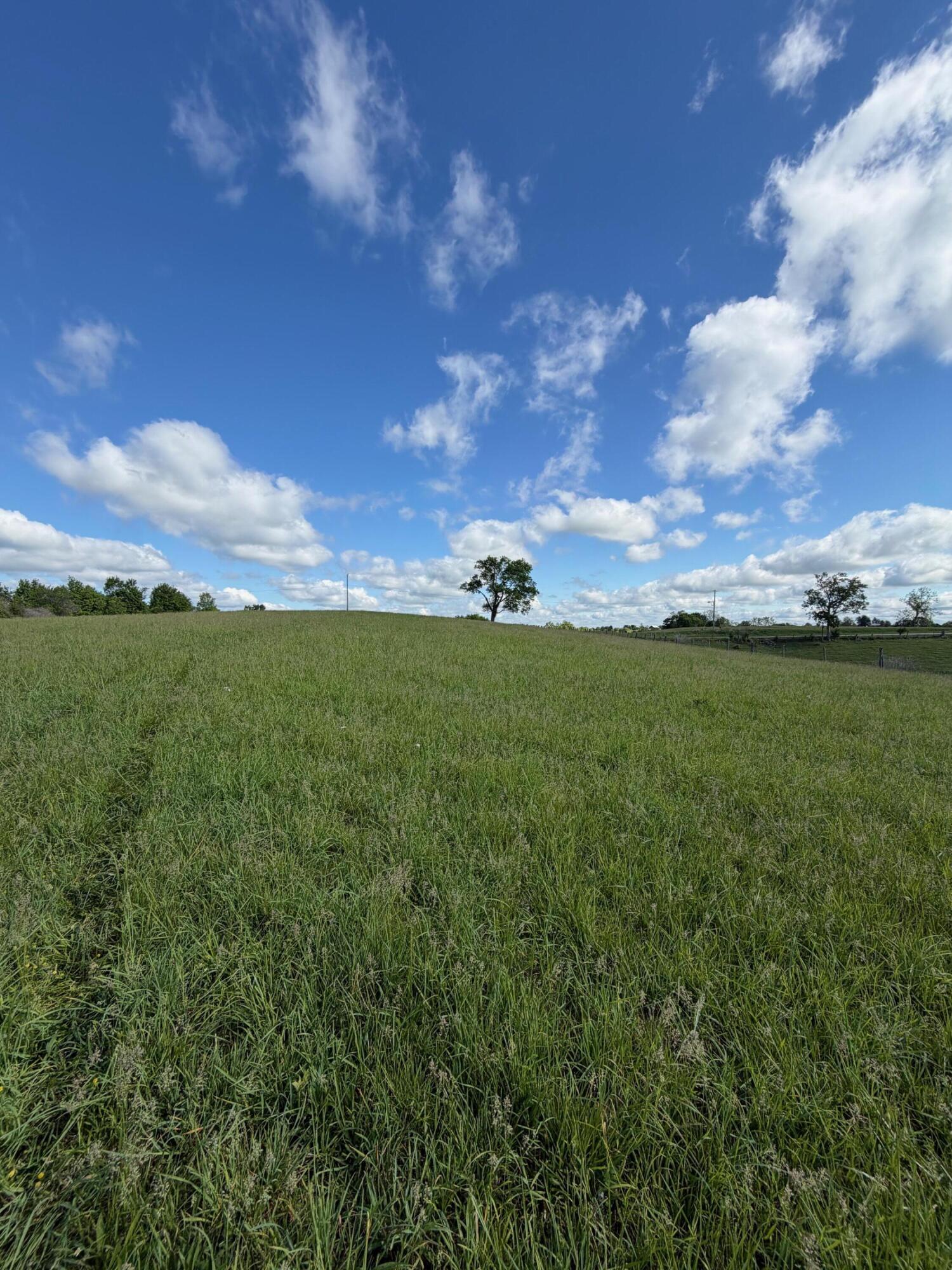 6.93-ac Chipman Ridge Road Williamstown, KY 41097 - Photo 6 of 10