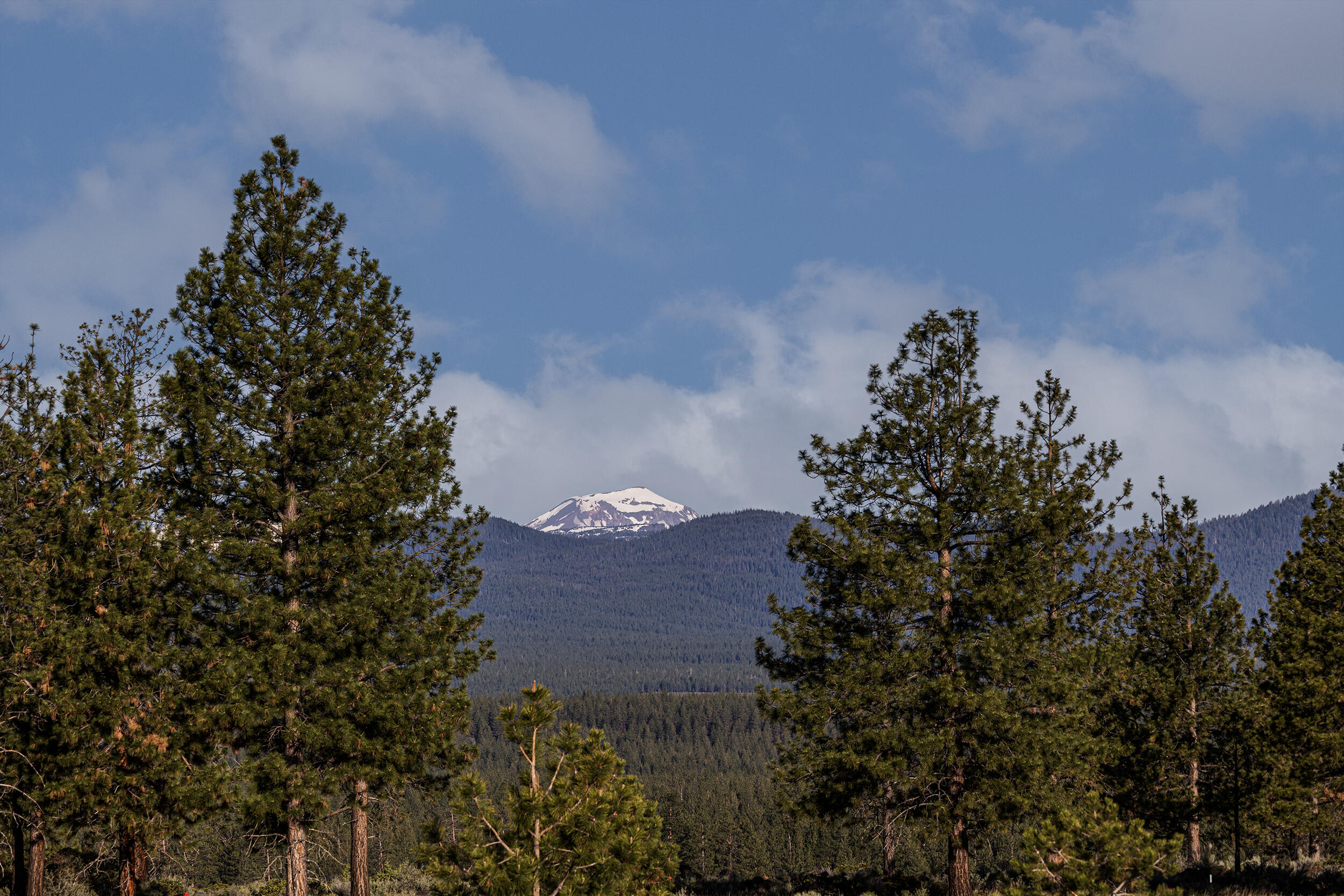62470 Huntsman Loop Bend Bend, OR 97703 - Photo 8 of 12 sister2