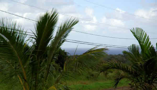 7771 Koolau Road Kilauea, HI 96754 - Photo 3 of 12