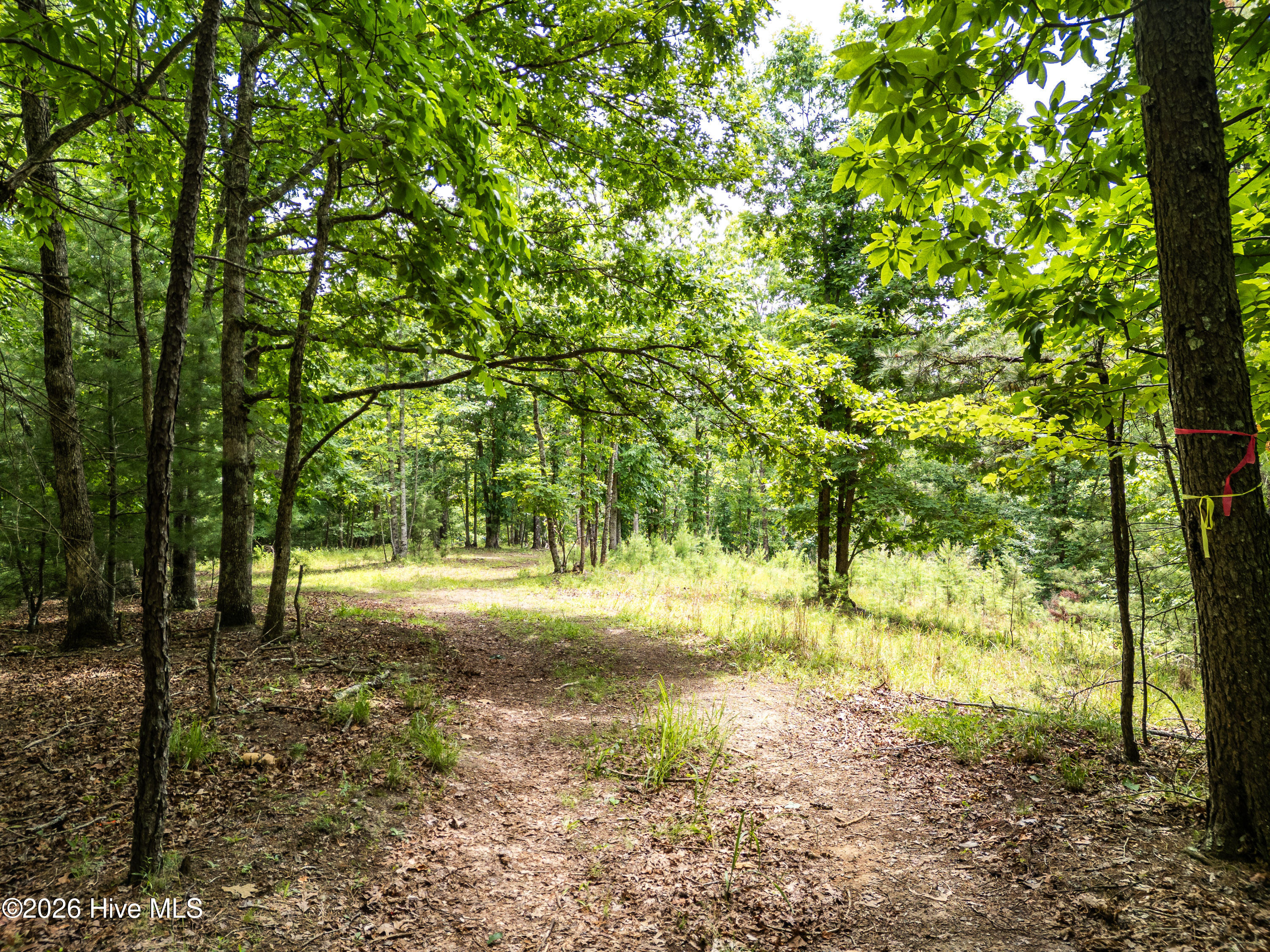 2 Stormy Ridge Brasstown, NC 28902 - Photo 2 of 17 Gallery Image 2