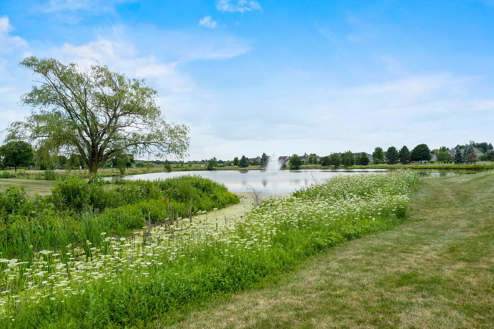 4N535 School Road St. Charles, IL 60175 - Photo 58 of 61