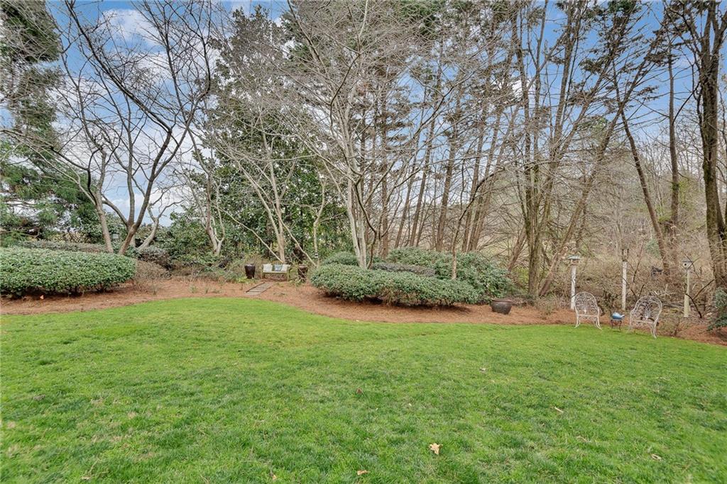 520 Fawn Run Alpharetta, GA 30005 - Photo 58 of 65 a view of a park with large trees
