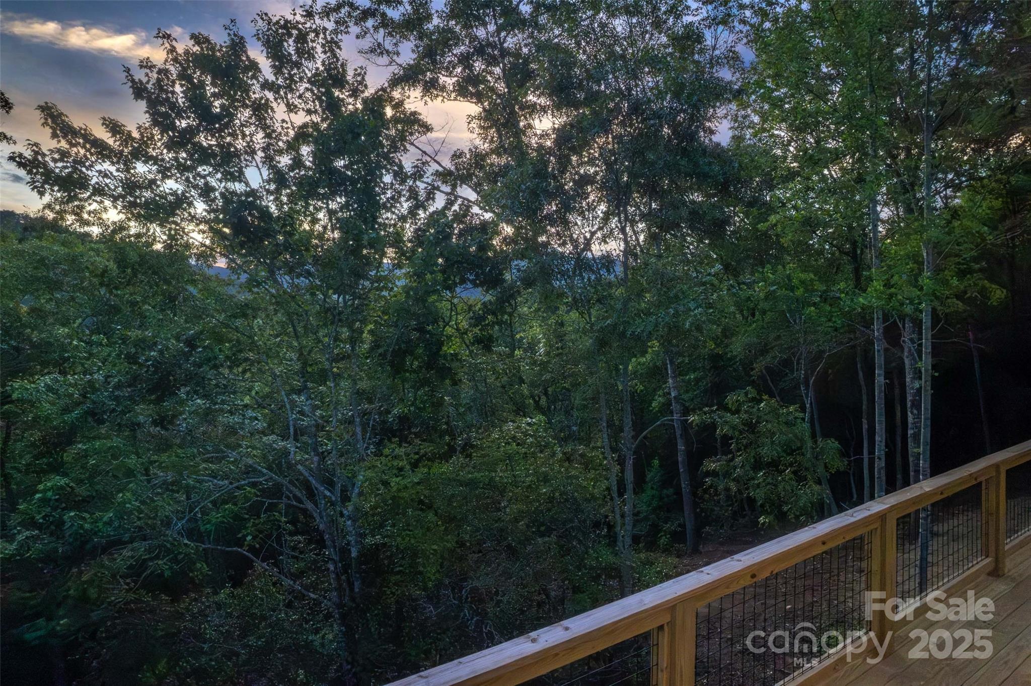 288 Blue Cedar Road, Unit 9 Sylva, NC 28779 - Photo 21 of 48 Gallery Image 21