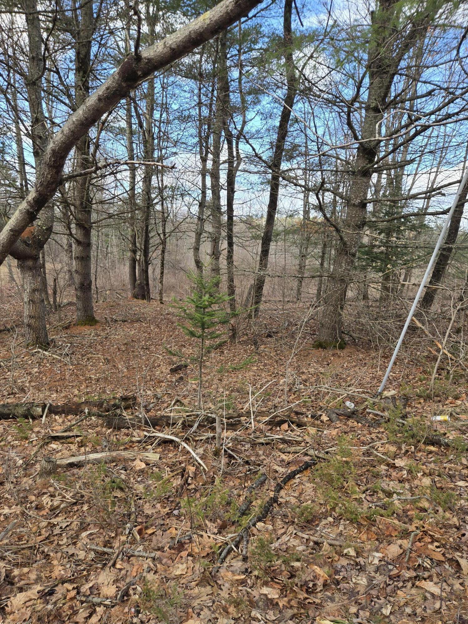 Lot 1 Maple Street Hallowell, ME 04347 - Photo 1 of 2 1000022457