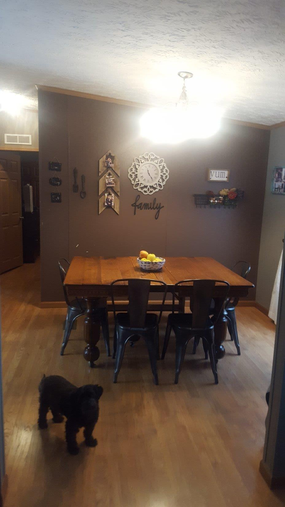 300 Spout Springs Road Irvine, KY 40336 - Photo 14 of 25 Posing pup not included