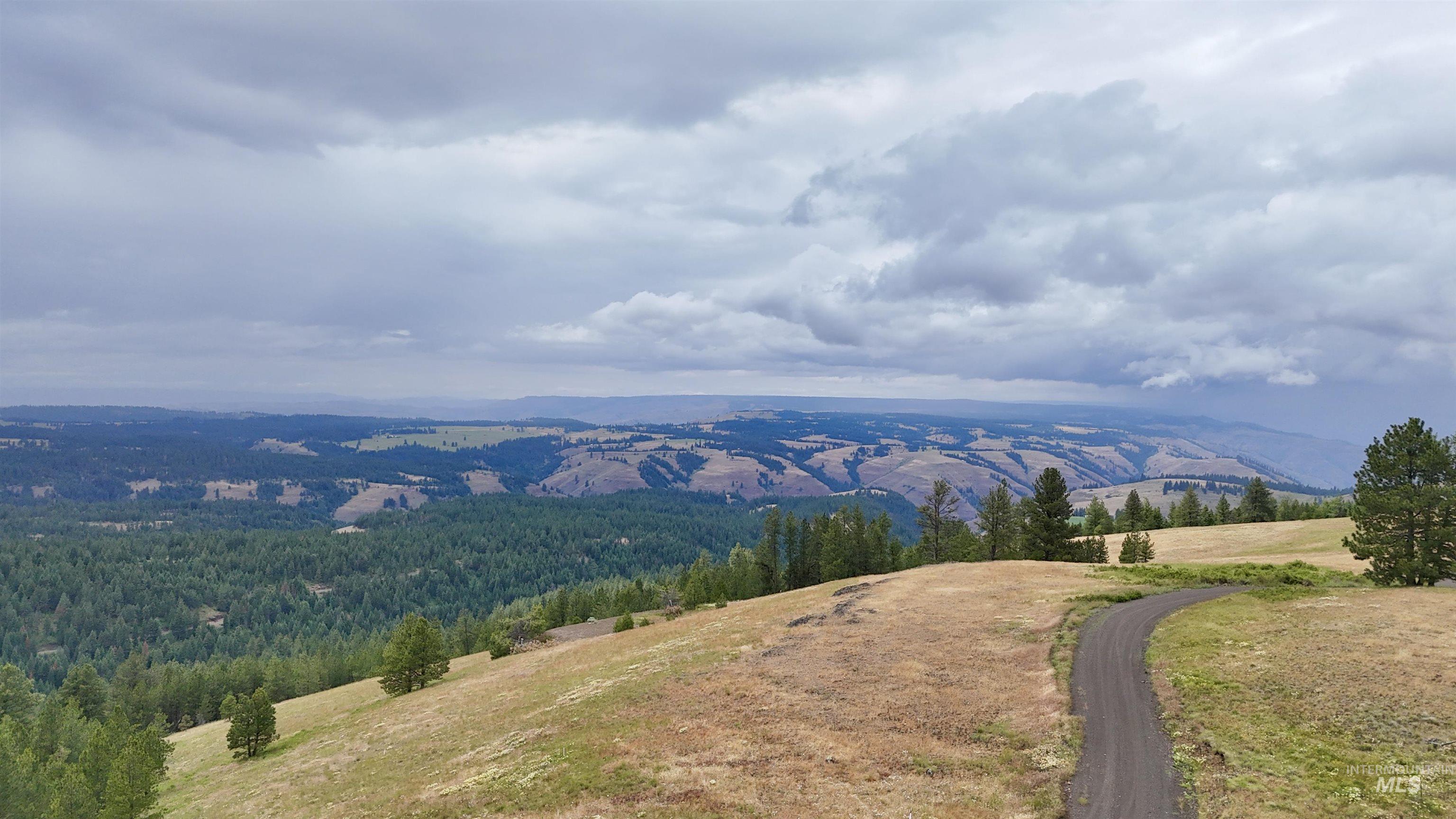 Lot 91 Pilgrim Ridge Road White Bird, ID 83554 - Photo 4 of 35