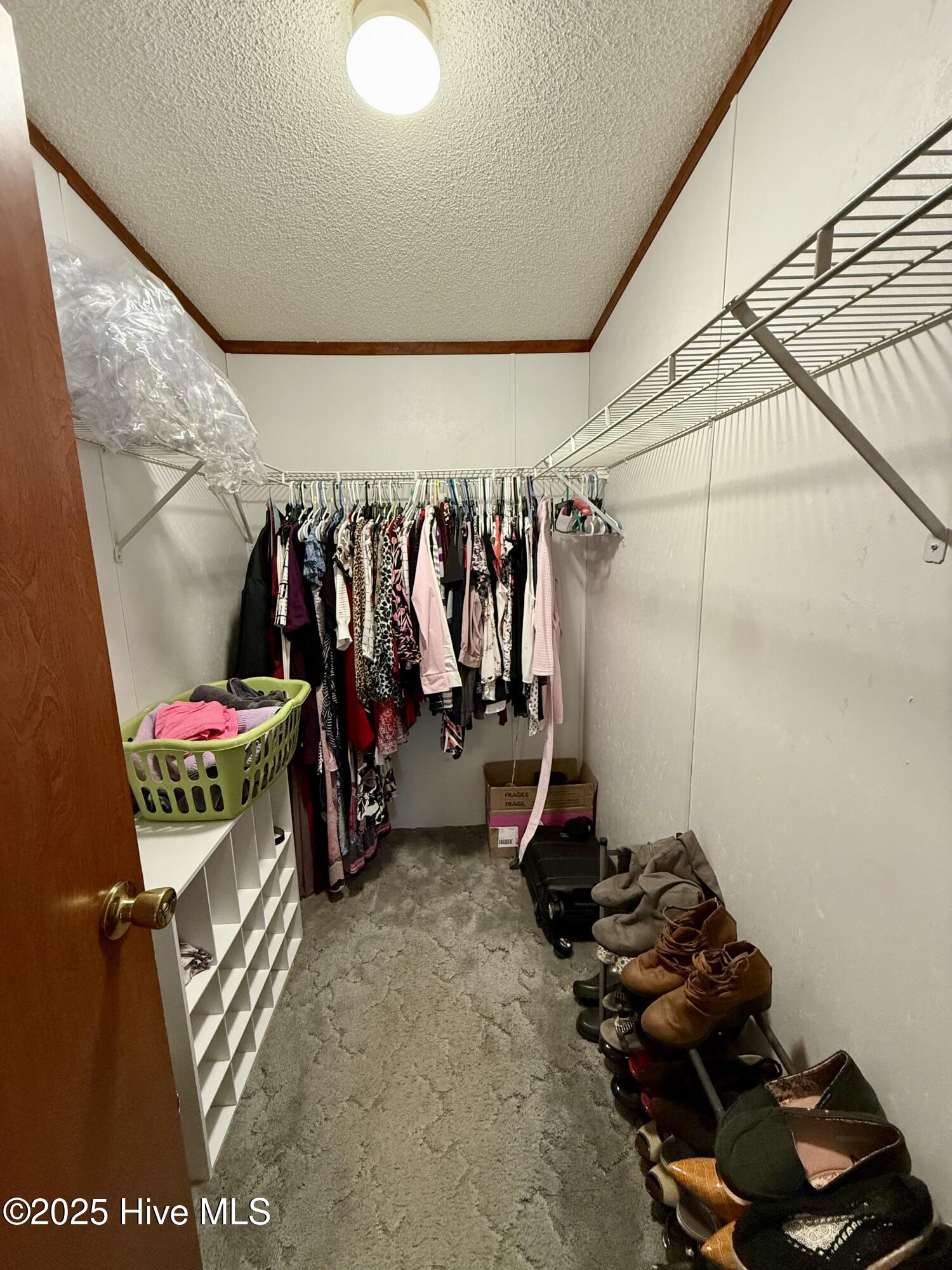 3682 Titan Roberts Road Erwin, NC 28339 - Photo 20 of 51 Walk in closet primamry bedroom