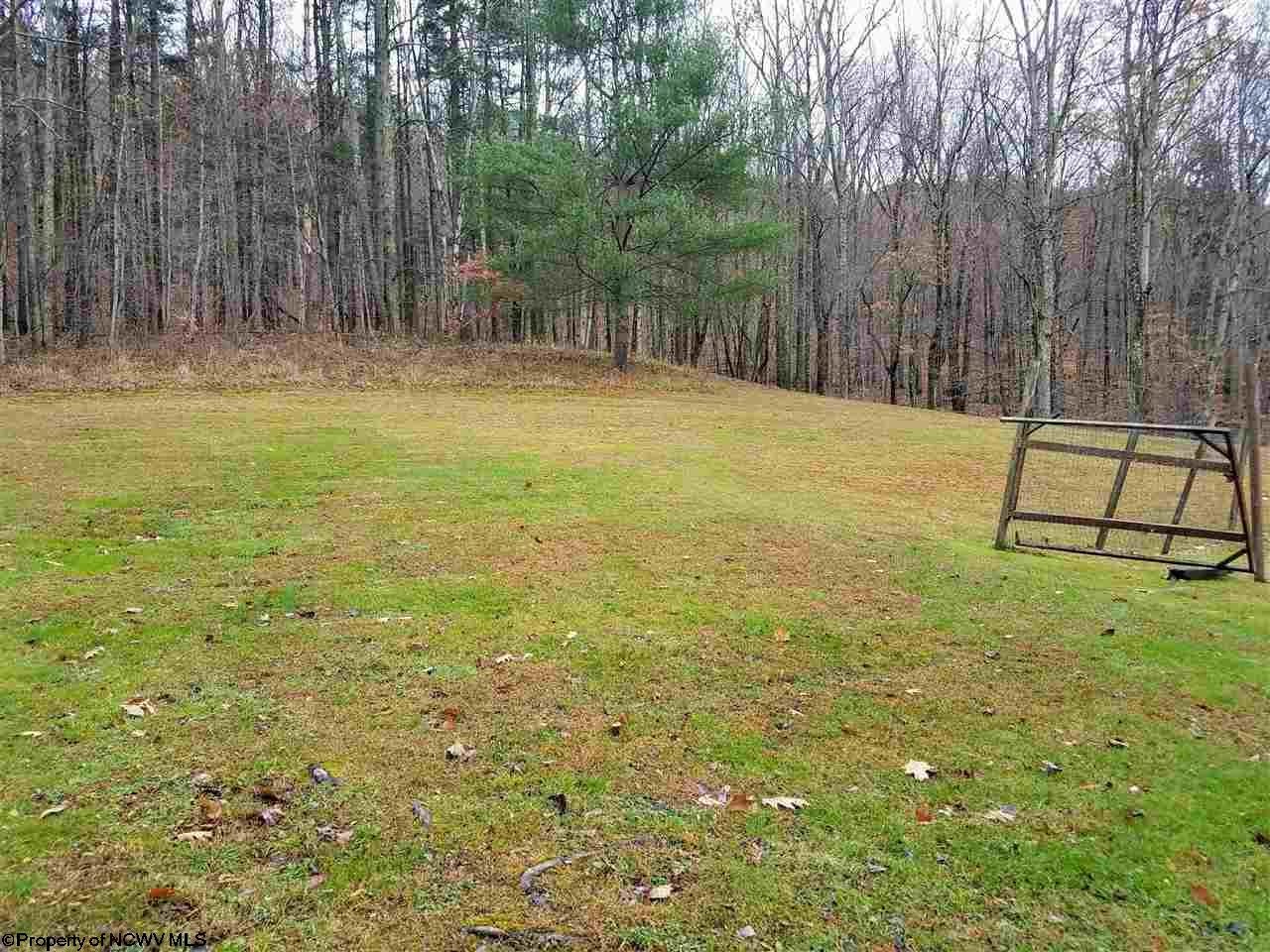 860 Laurel Run Road Fairview, WV 26570 - Photo 19 of 20 Gallery Image 19