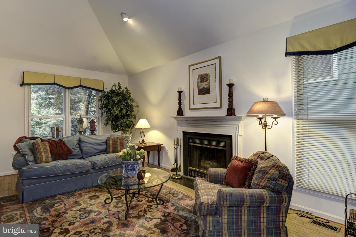 10007 Leafy Avenue Silver Spring, MD 20910 - Photo 14 of 28 Family Room