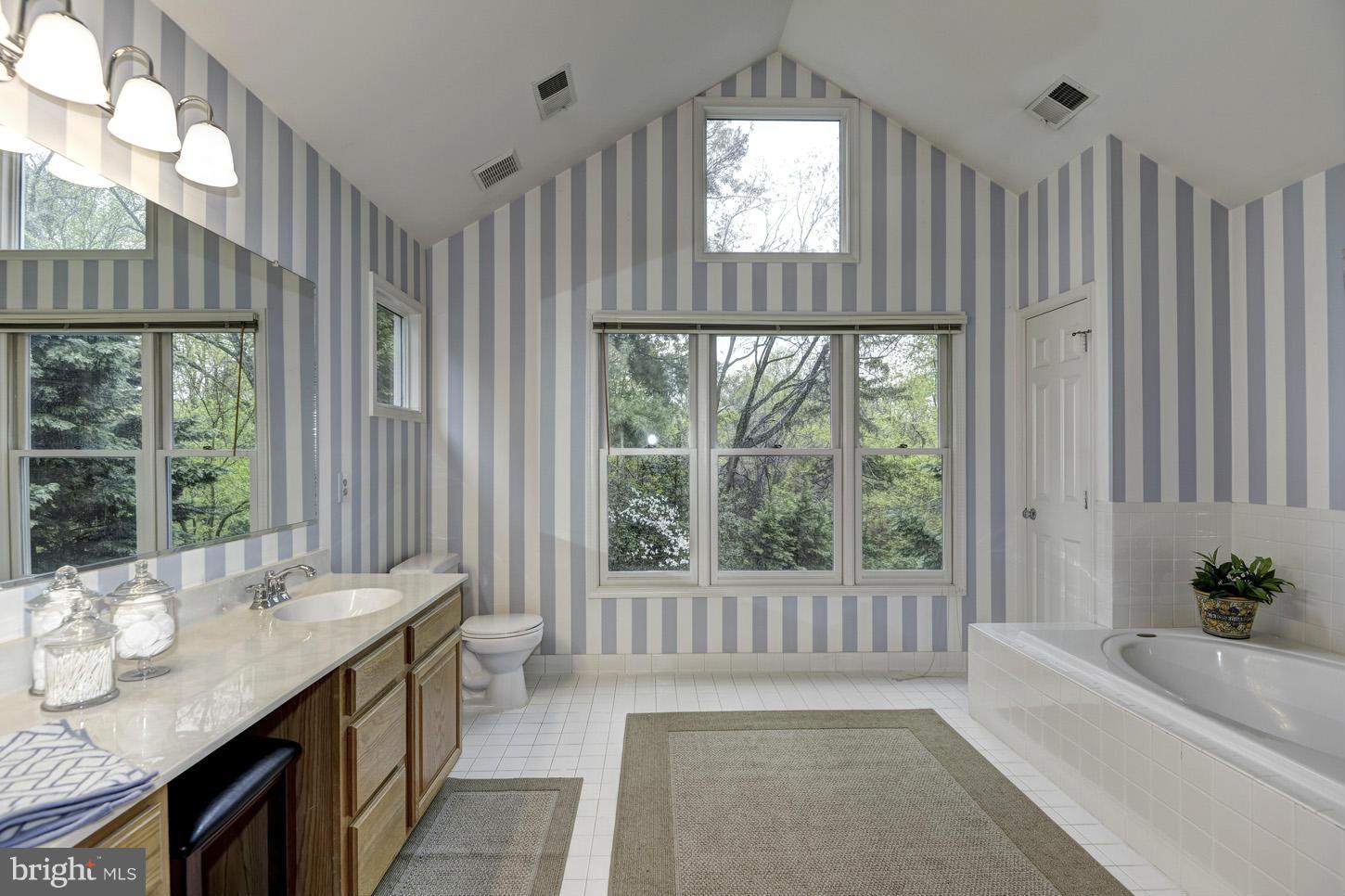 10007 Leafy Avenue Silver Spring, MD 20910 - Photo 22 of 28 Bath (Master)