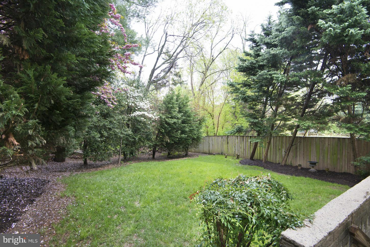 10007 Leafy Avenue Silver Spring, MD 20910 - Photo 27 of 28 Backyard