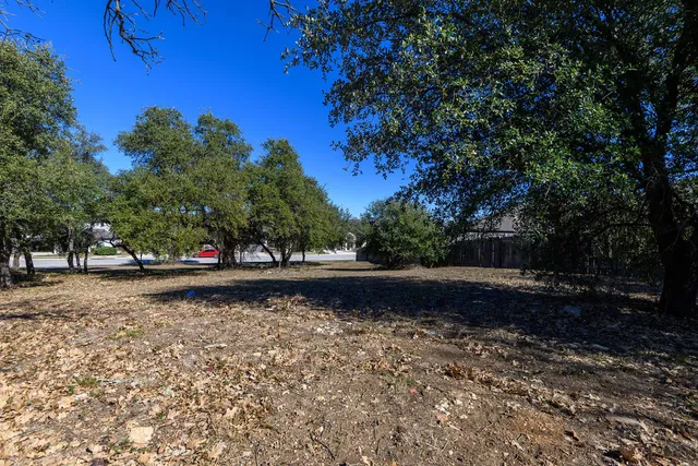 a view of a yard with large trees