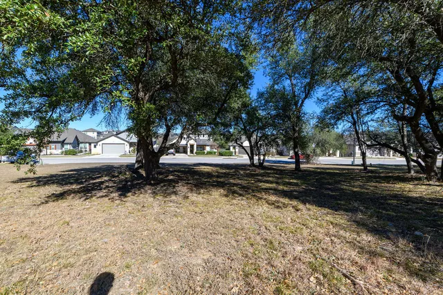a view of a backyard with trees