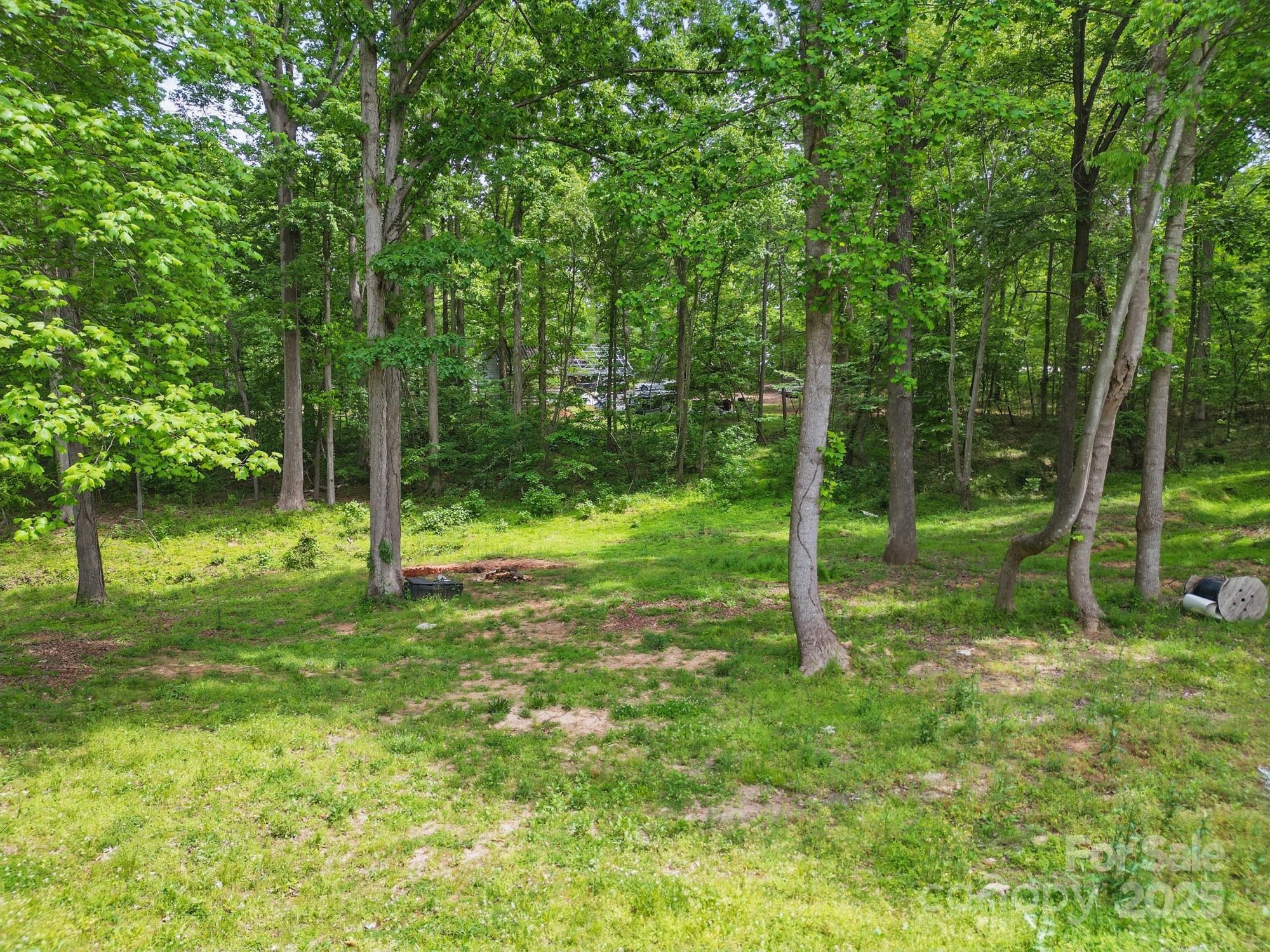 10420 Silver Mine Road Indian Land, SC 29707 - Photo 19 of 27