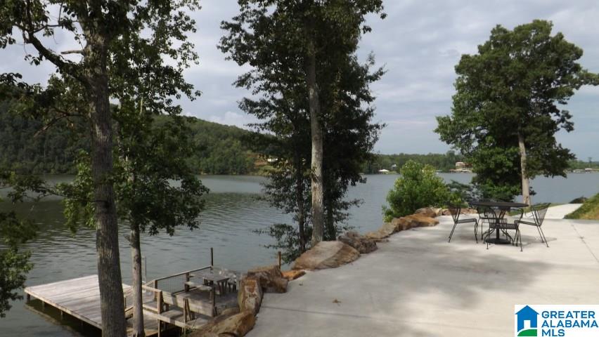155 Lock 1 Road Ashville, AL 35953 - Photo 11 of 50