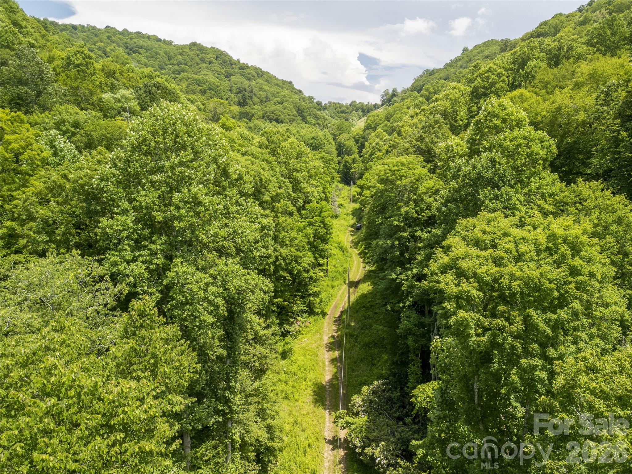 168 Smith Creek Road Mars Hill, NC 28754 - Photo 44 of 46