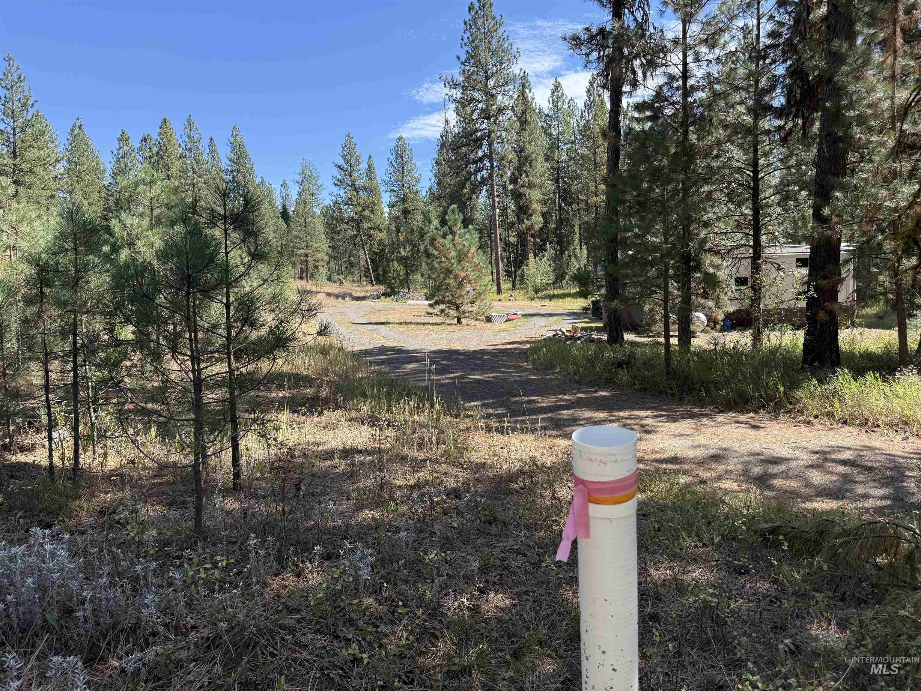 3177 Timber Ridge Drive New Meadows, ID 83654 - Photo 7 of 16 Gallery Image 7