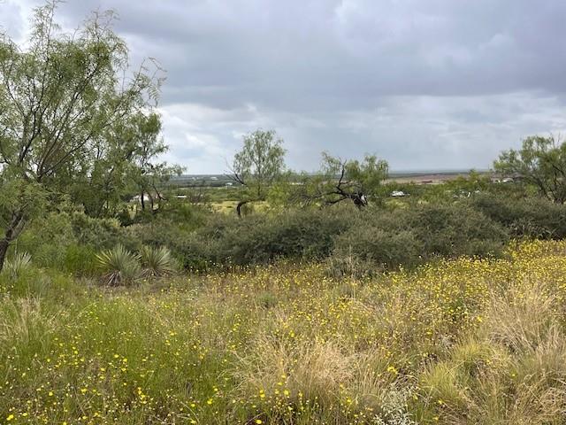 405 County Road 405 Merkel, TX 79536 - Photo 2 of 9