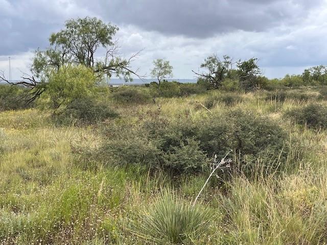 405 County Road 405 Merkel, TX 79536 - Photo 3 of 9 a view of a lake with a tree in the background