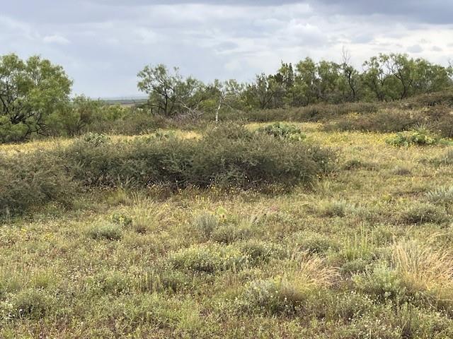 405 County Road 405 Merkel, TX 79536 - Photo 8 of 9 a view of a lake with houses in the back