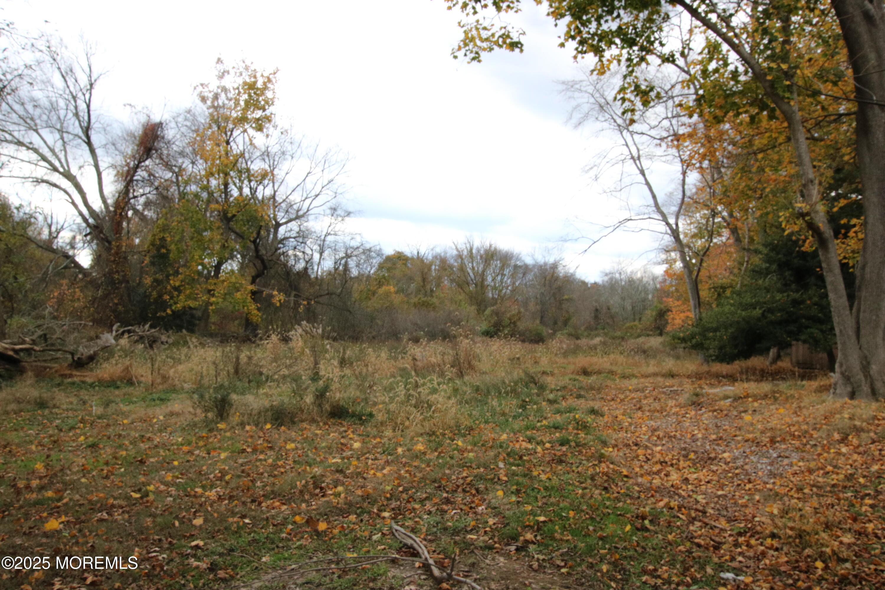 58 Monmouth Road Eatontown, NJ 07724 - Photo 19 of 32 Backyard