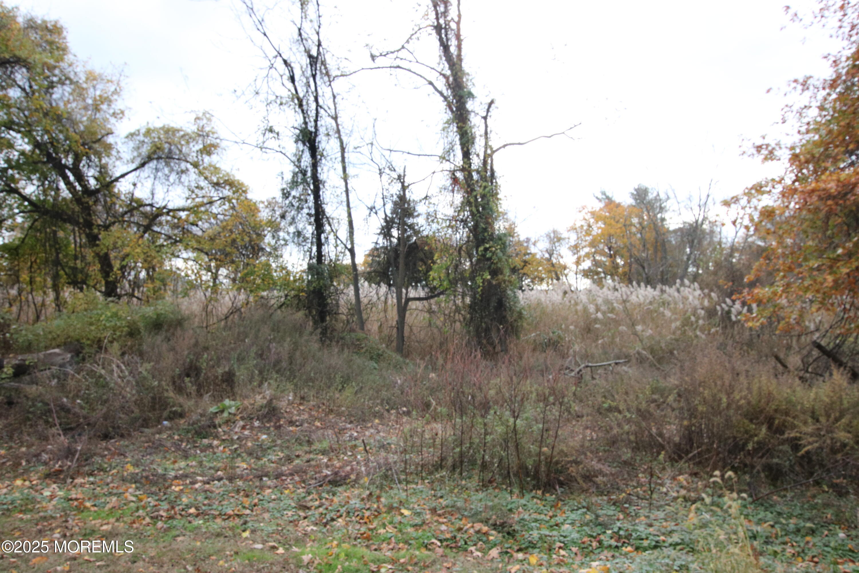 58 Monmouth Road Eatontown, NJ 07724 - Photo 32 of 32 Backyard