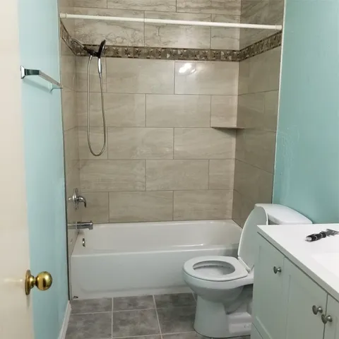 a bathroom with a toilet and a bathtub