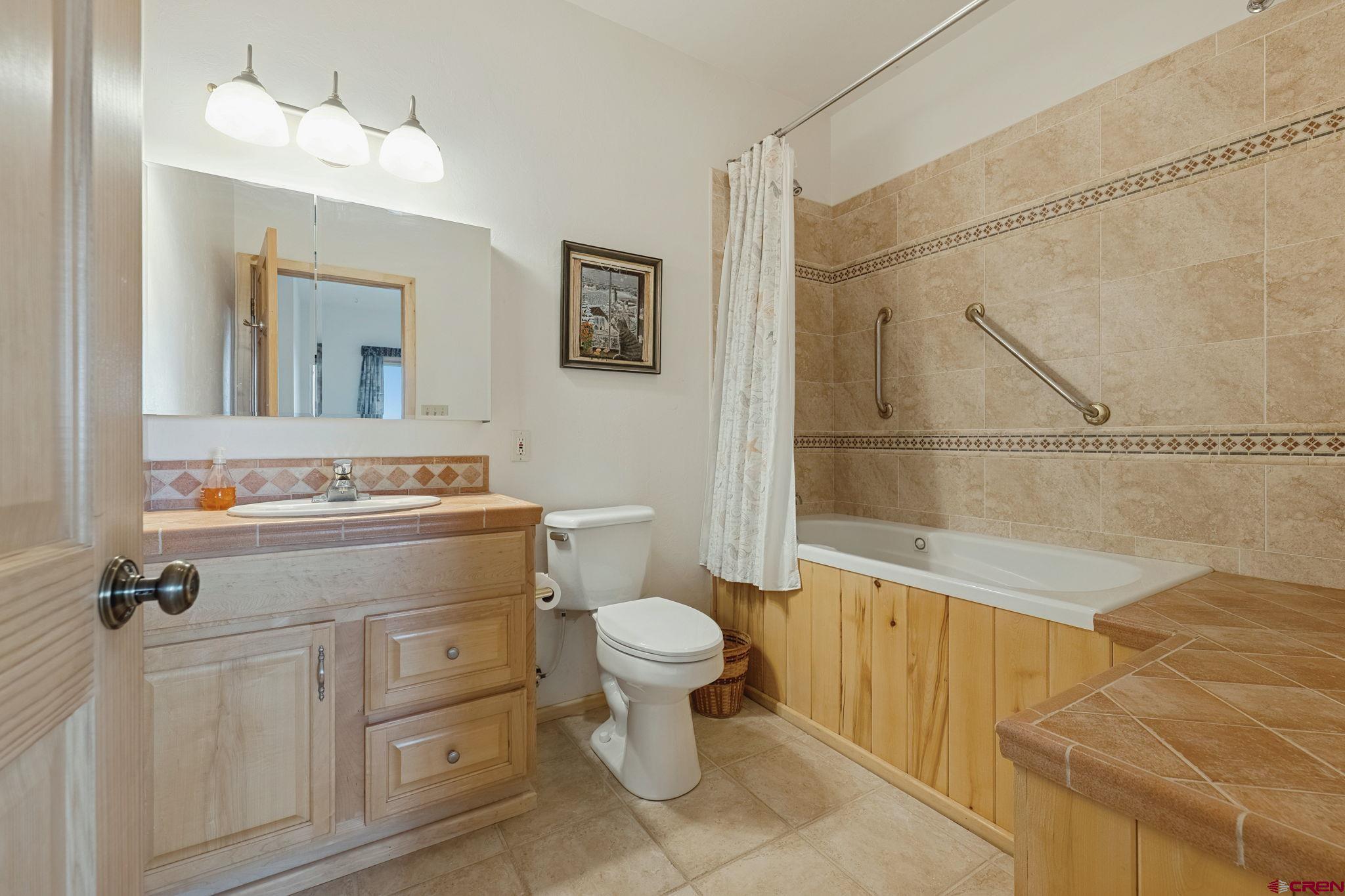 481 Far View Road Durango, CO 81303 - Photo 29 of 45 a bathroom with a sink a toilet and mirror
