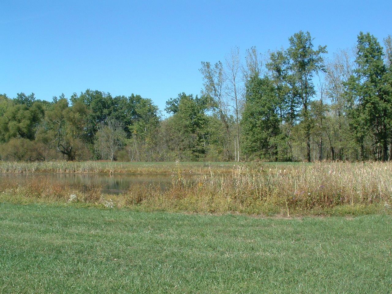 0 Nichols Lane Road Northwest Johnstown, OH 43031 - Photo 15 of 22 DSCF0012