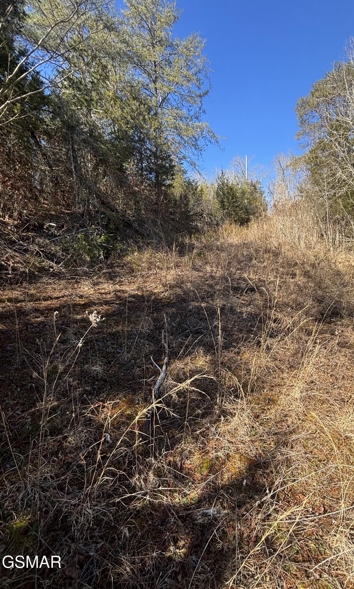 4 Rule Hollow Road Sevierville, TN 37876 - Photo 2 of 15 Gallery Image 2