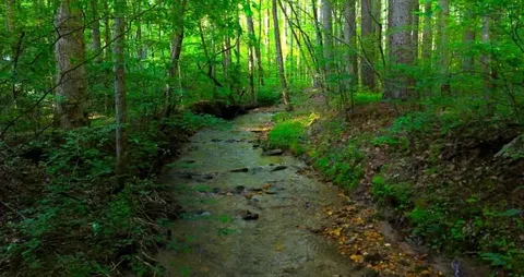 $50,000 | 0 Nocona Trail, Ellijay, GA 30536